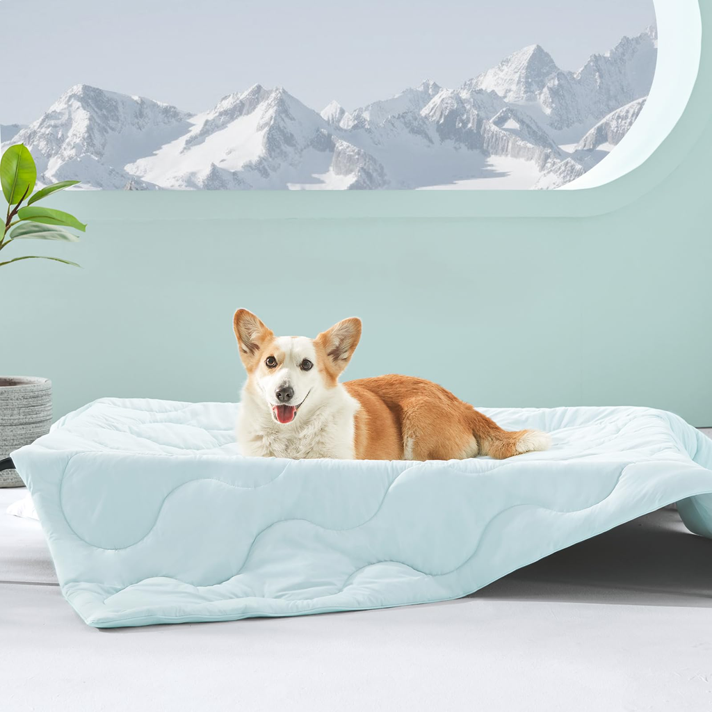 Gomez Quest Linen Co. Adjustable Pet Blanket Assorted